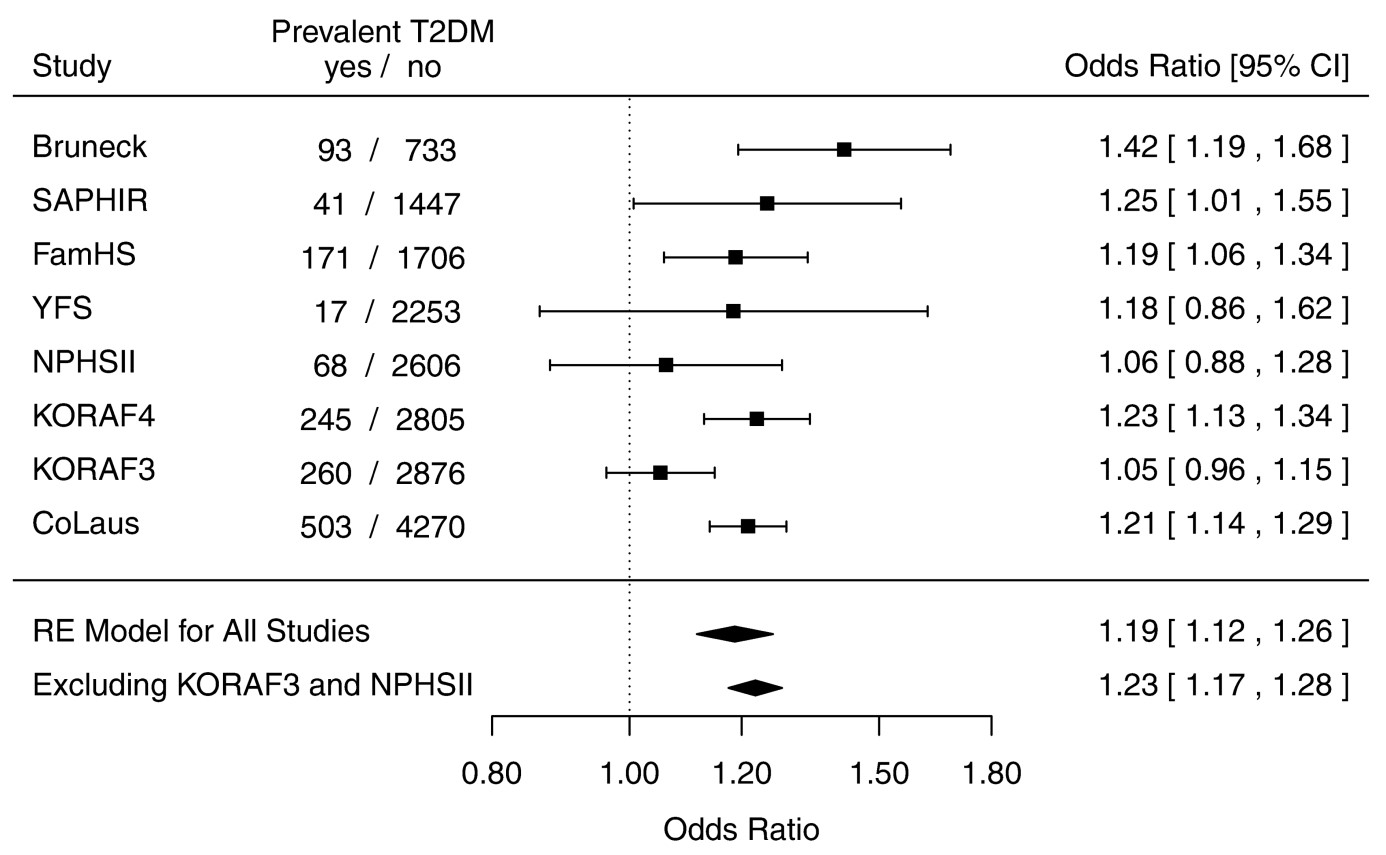 Figure 3: Forest plot illustrating the association of an afamin increment of 10 mg/L with prevalent type 2 diabetes for eight studies as well as excluding the KORA F3 Study and NPHS-II since most participants in these studies were nonfasting. (Kollerits et al. 2017).