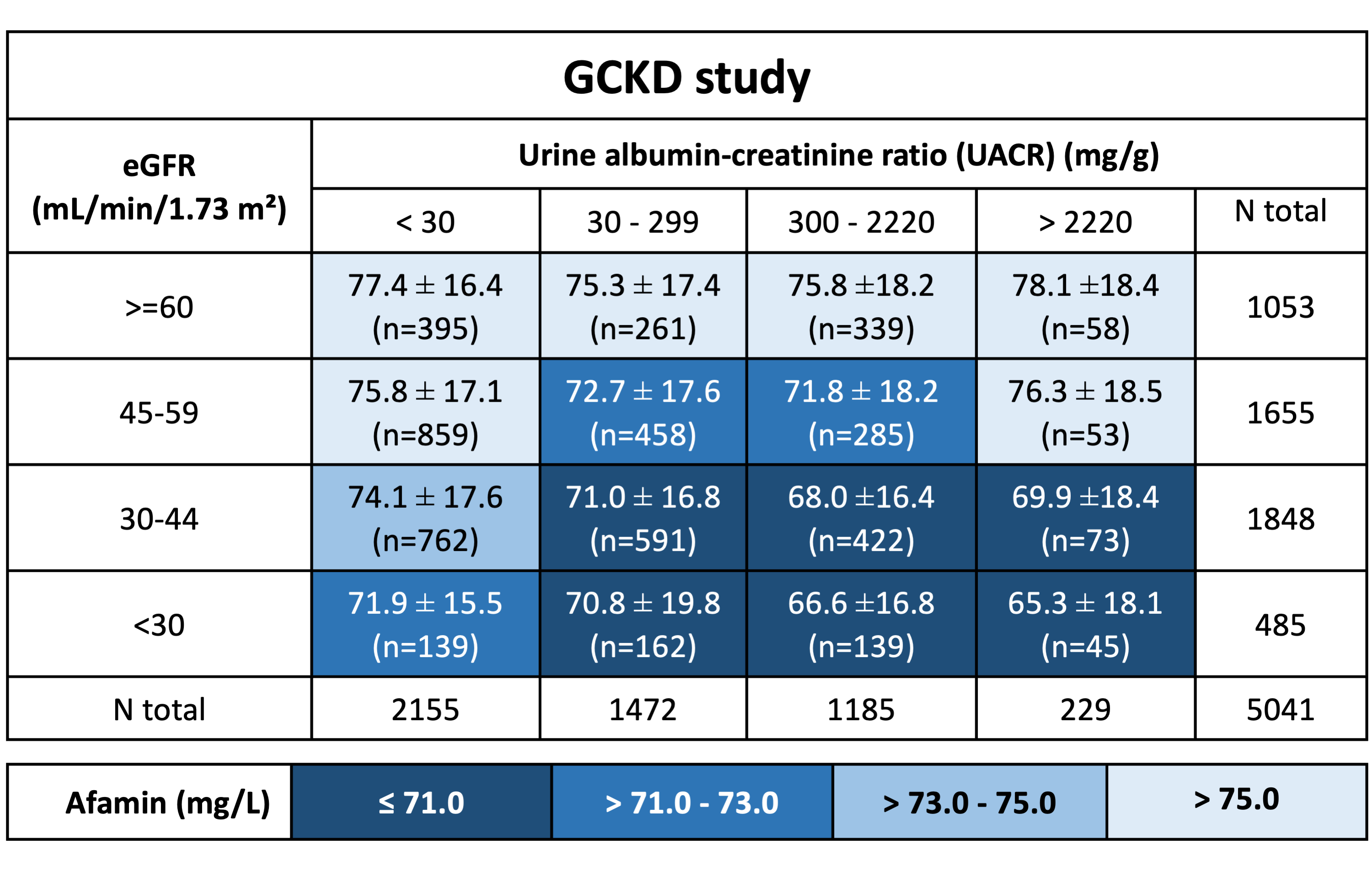 Figure 6: Mean (±SD) afamin concentrations and number of patients stratified by estimated glomerular filtration rate (eGFR) and urine albumin-to-creatinine ratio (UACR) risk categories (including nephrotic range UACR >2220 mg/g) according to Kidney Disease Improving Global Outcomes (KDIGO) guidelines in the German Chronic Kidney Disease (GCKD) study. Mean afamin concentrations were higher in individuals with better kidney function (higher eGFR and lower UACR). Increasing concentrations of afamin are displayed with cell backgrounds with lighter blue background colors (change in color per 2mg/L increment of afamin concentrations). Note: numbers of patients do not add up to the total number from GCKD with available afamin values due to missing values for eGFR and UACR (Kollerits et.al. Am J. Kidney Dis. 2025).