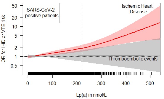 Figure 3: Nonlinear splines for ischemic heart disease and venous thromboembolism outcomes in 6,937 SARS-CoV-2 positive tested study participants. The dotted line for OR = 1 crosses the spline at the Lp(a) median value of 19.2 nmol/L. The dashed vertical line corresponds to an Lp(a) level of 220 nmol/L (= 95th percentile). Tick marks at the bottom line indicate one event observation.(Di Maio et al.: J. Intern. Med. 2022).